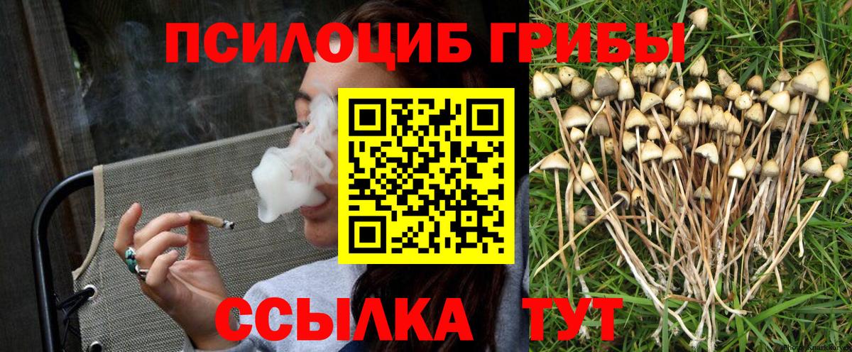 Галлюциногенные грибы Cubensis Тайшет